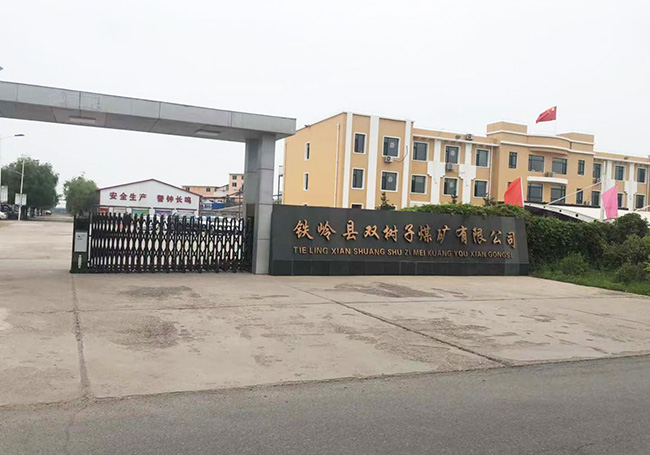 鐵嶺縣雙樹子煤礦