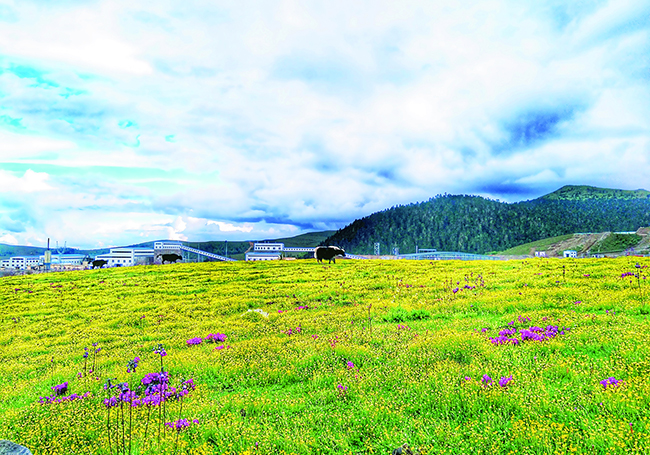 香格里拉紅牛礦業(yè)