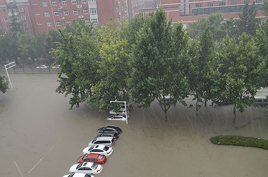青山一道同風雨 鄭州廣眾與您在一起